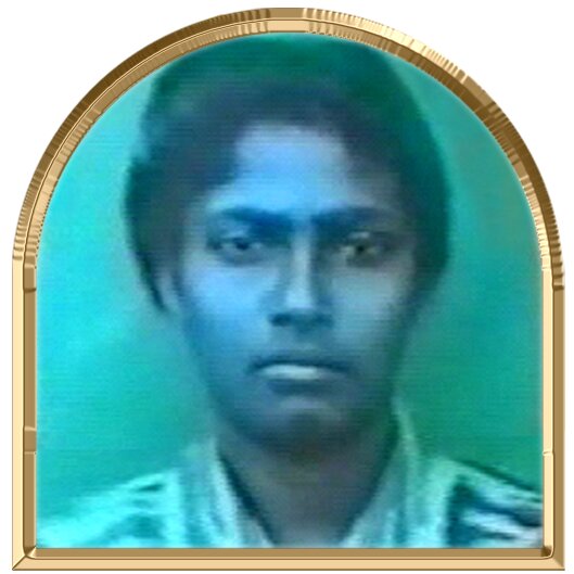 சாளினி