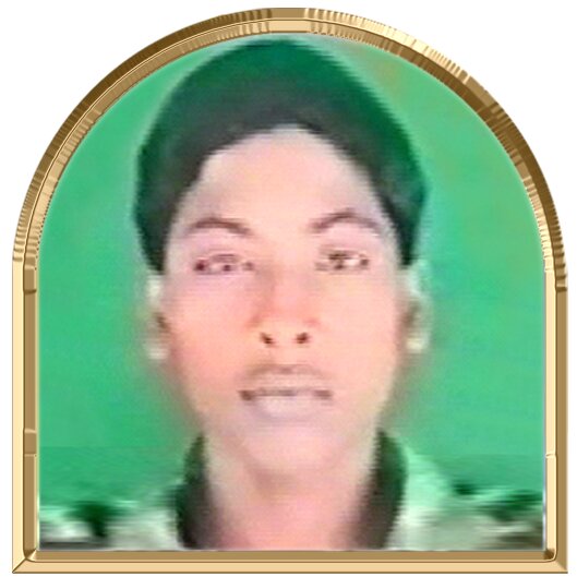 வேங்கைவாணன்