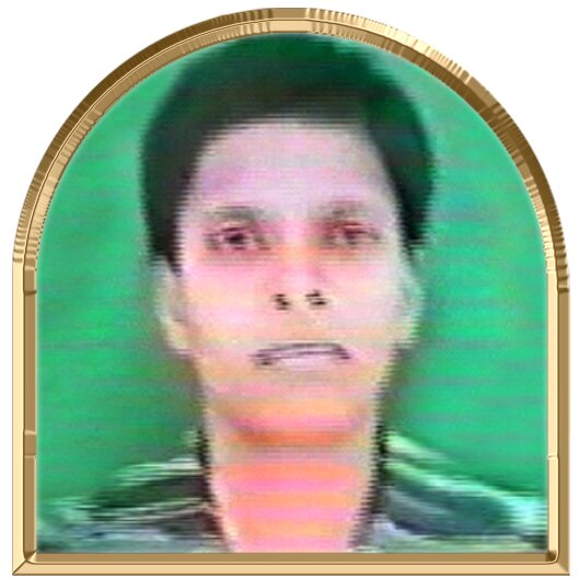 கலைப்பருதி