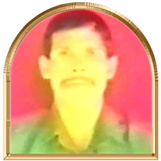 விவேகானந்தராசா (துணைப்படை)