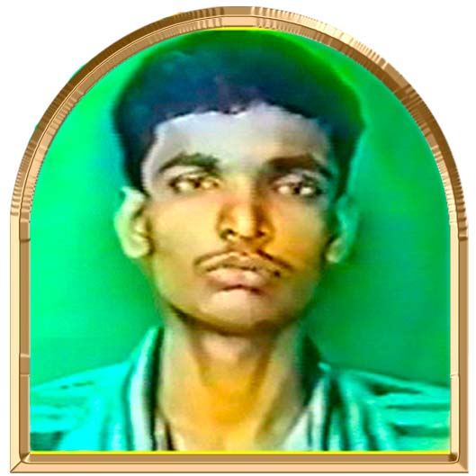 கானகவேங்கை (வேங்கை)