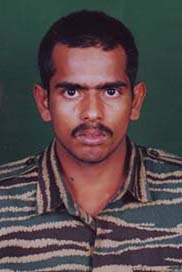 செஞ்சுடர்