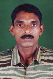 அகவேங்கை