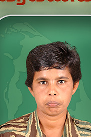 குயில்