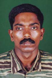 கானவேங்கை