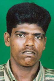 கோதைக்கொடி