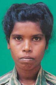பாமினி