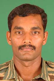இளம்புலி