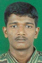 பெருவழுதி
