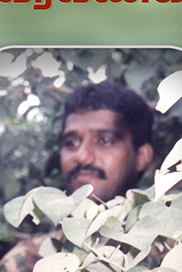 றீகன்