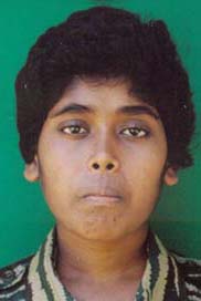 குறிஞ்சிமலர்