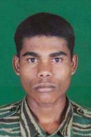 ஒளிவேங்கை