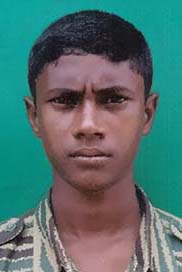 கலைப்புலி
