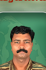 இளம்புலி