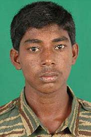 சோலைக்கிளி
