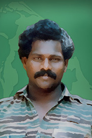 டேவிற்