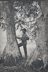 கிறிஸ்ரி