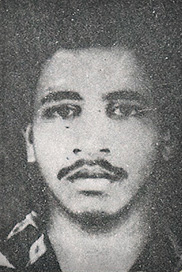 றொபின்