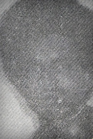 சுருளி