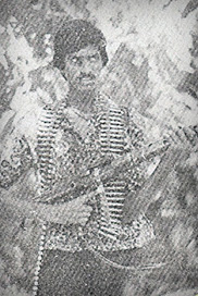விஜி