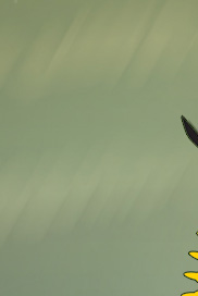 சந்திரன் (நரேஸ்)