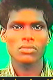 தாமோதரம்பிள்ளை (இராஜேந்திரம்)
