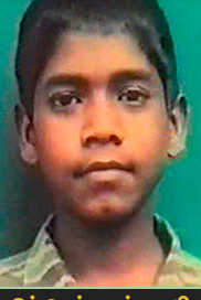 கவி