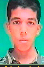 சேரன்