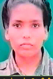 வேழினி
