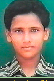 மயில்