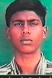 உறங்காப்புலி