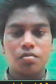 தரங்கிளி
