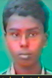 செவ்வாணன்