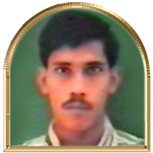 அரநிதன்