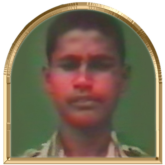 சர்வன் (சக்தி)