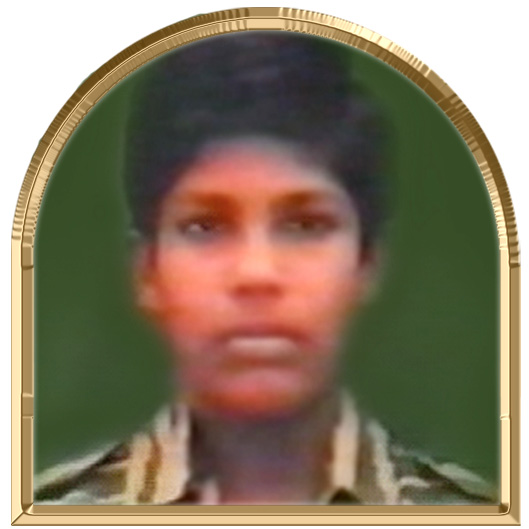 அருட்செல்வன் (கட்சன்)