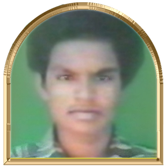 நந்தினி