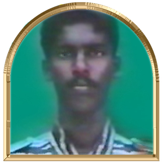 அரசதுரை