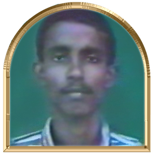 பெருங்கீரன்