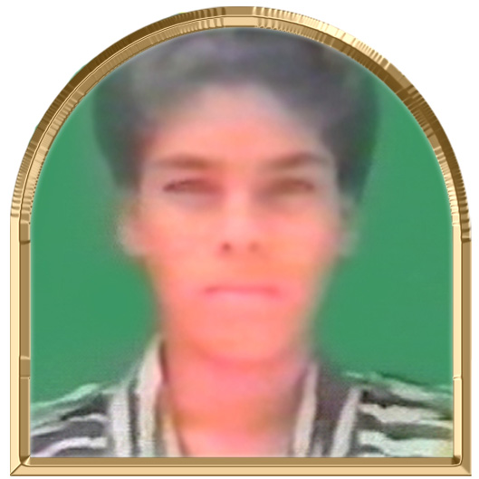 மீனா