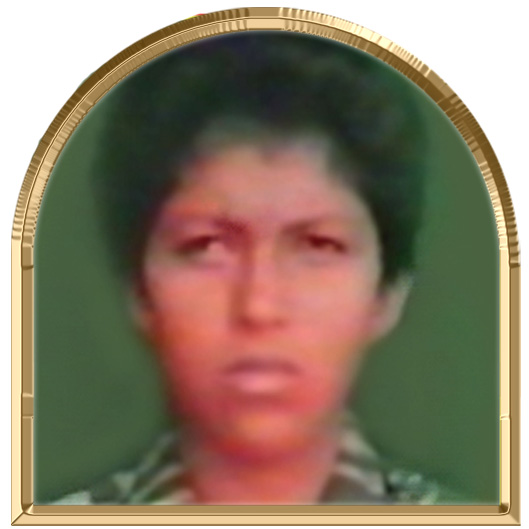பைந்தமிழ்