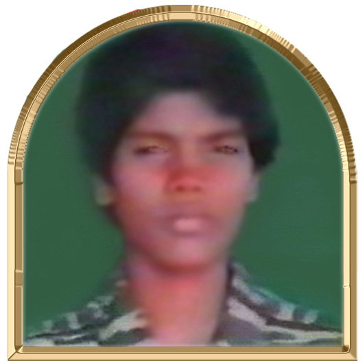 மேனா (மேனகை)