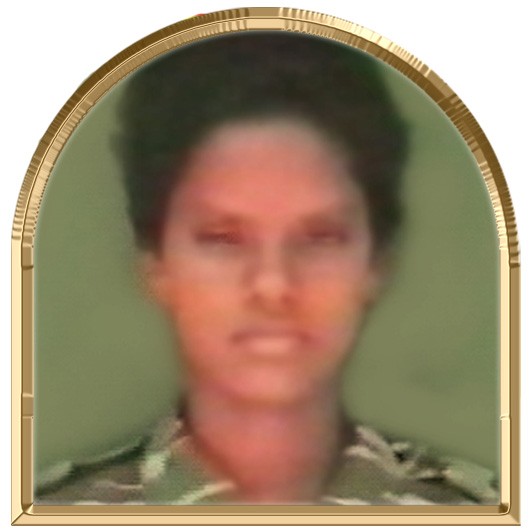 விவேகா