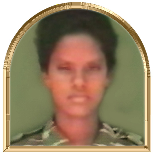 பூவிழி (பூங்கனி)
