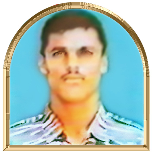 விகடகவி
