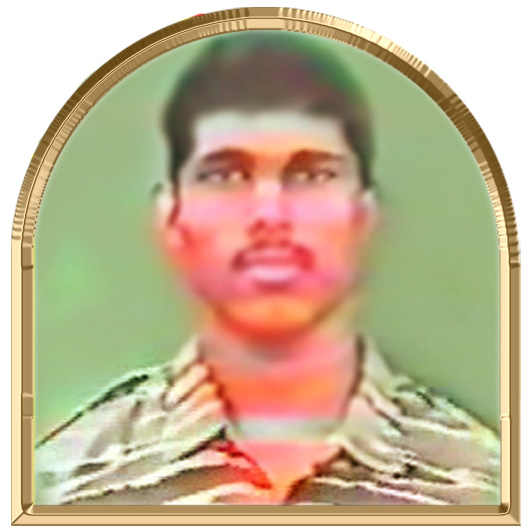 நவமாவி