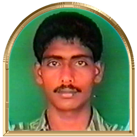 வேங்கை