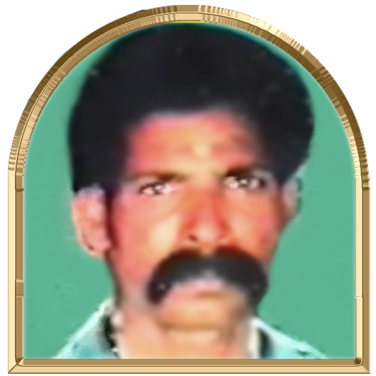 தாமோதரம்பிள்ளை