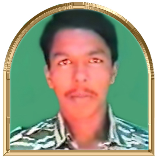நல்லநாயகம்