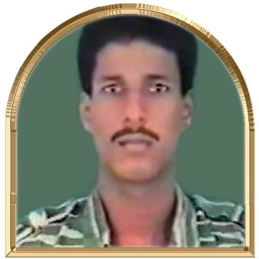 விக்கி